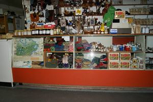 DSC01446.jpg