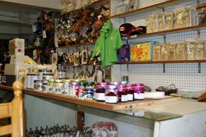 DSC01460.jpg