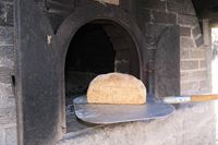 DSC01739.jpg